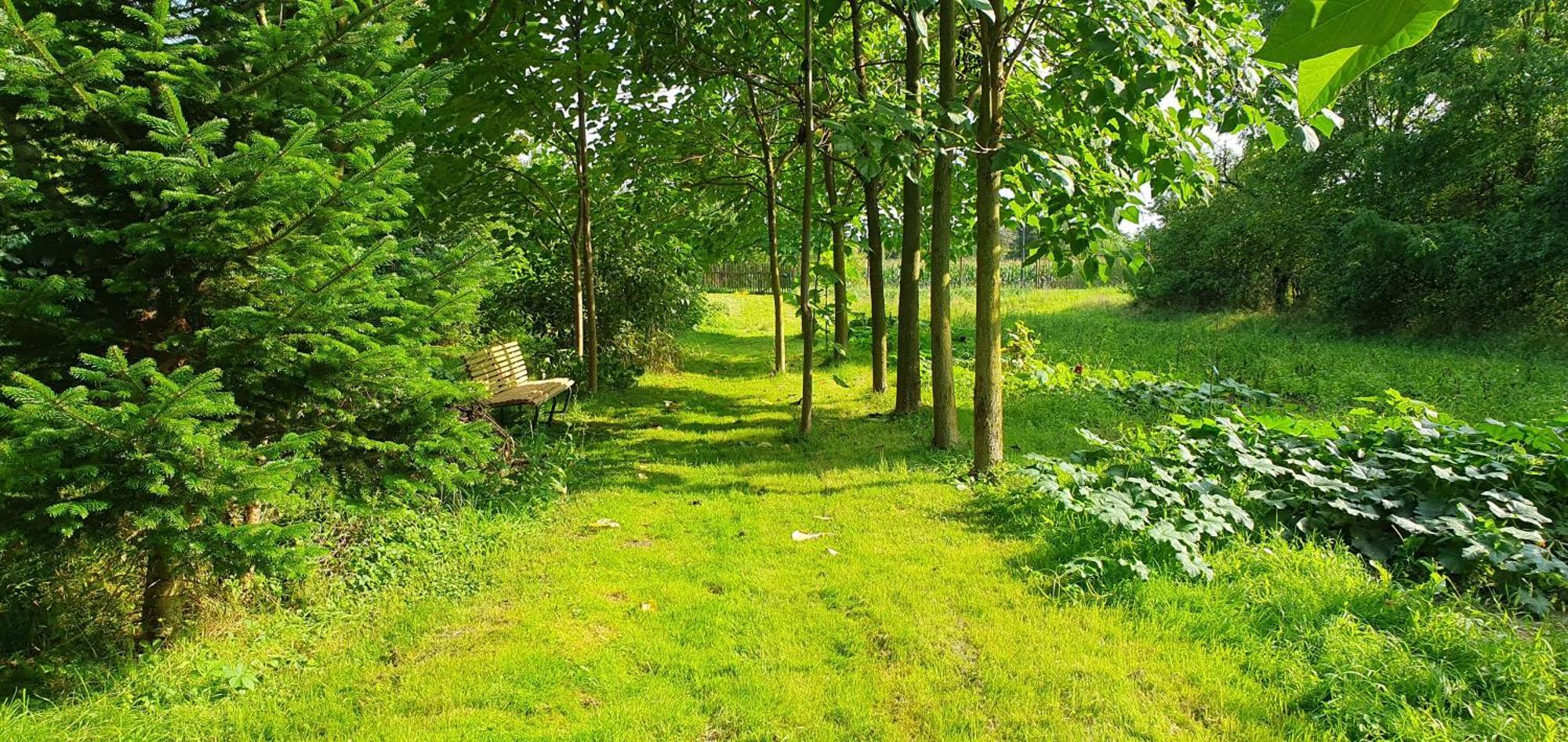 Gartenhaus Schlanstedt Huy Extérieur photo