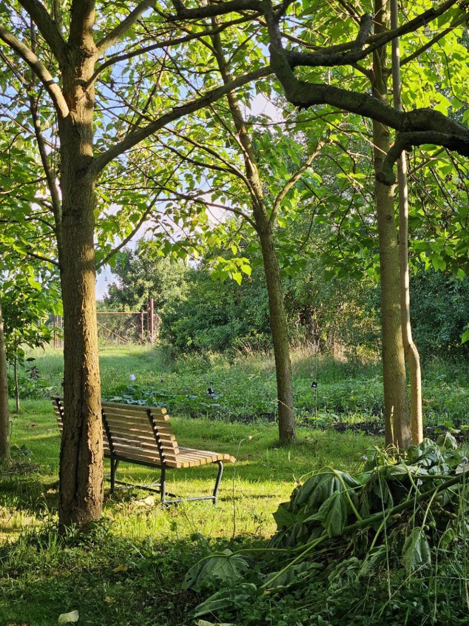 Gartenhaus Schlanstedt Huy Extérieur photo